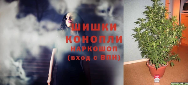 ГАЛЛЮЦИНОГЕННЫЕ ГРИБЫ Лагань