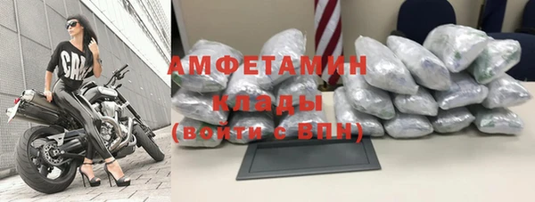 ГАЛЛЮЦИНОГЕННЫЕ ГРИБЫ Лагань