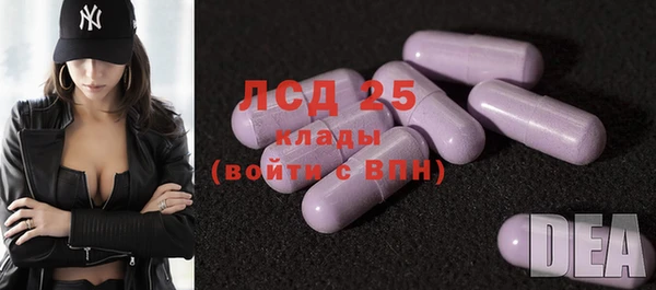 ГАЛЛЮЦИНОГЕННЫЕ ГРИБЫ Лагань