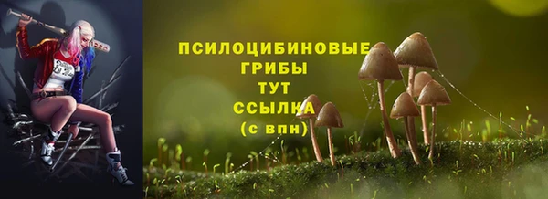дживик Ладушкин