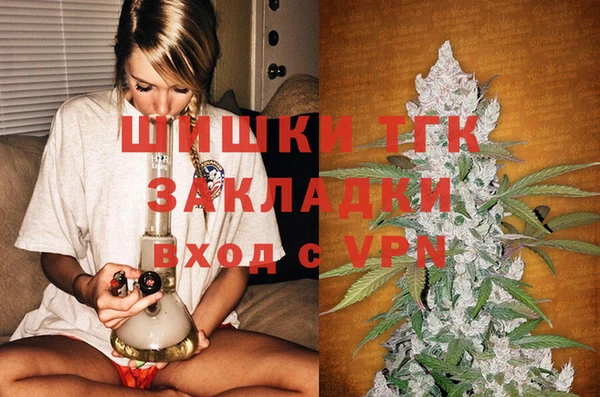 дживик Ладушкин