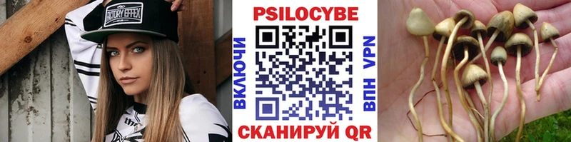 наркота  ОМГ ОМГ как зайти  Псилоцибиновые грибы Psilocybine cubensis  Якутск 